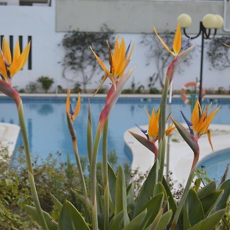 Apartamento Proximo Da Marina Vilamoura C/Piscina E Estacionamento Extérieur photo